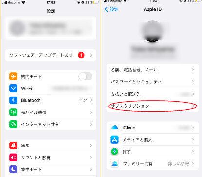 ディズニープラス　解約　Apple