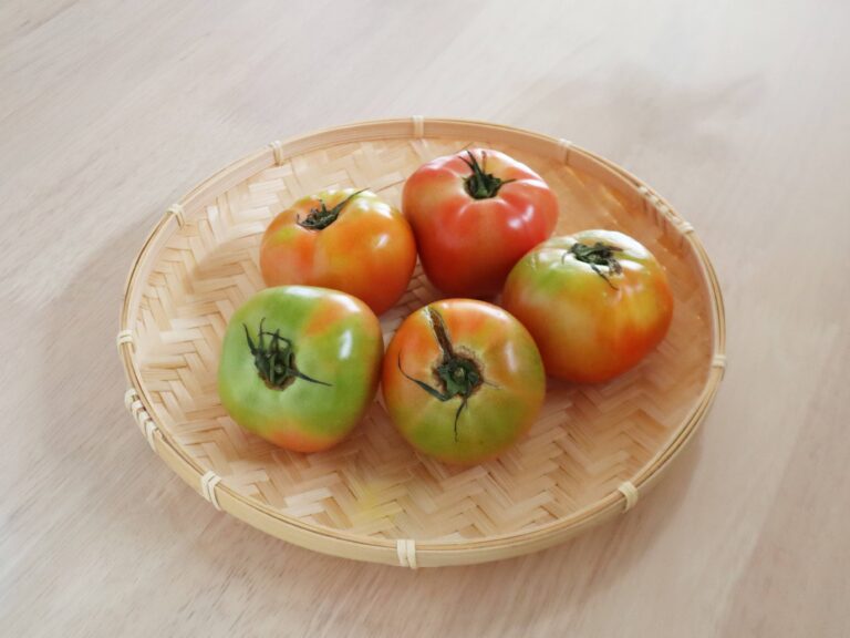 野菜室に入れちゃダメ！意外とやりがちな野菜の非常識「まだ青いトマトの正しい保存方法」って？