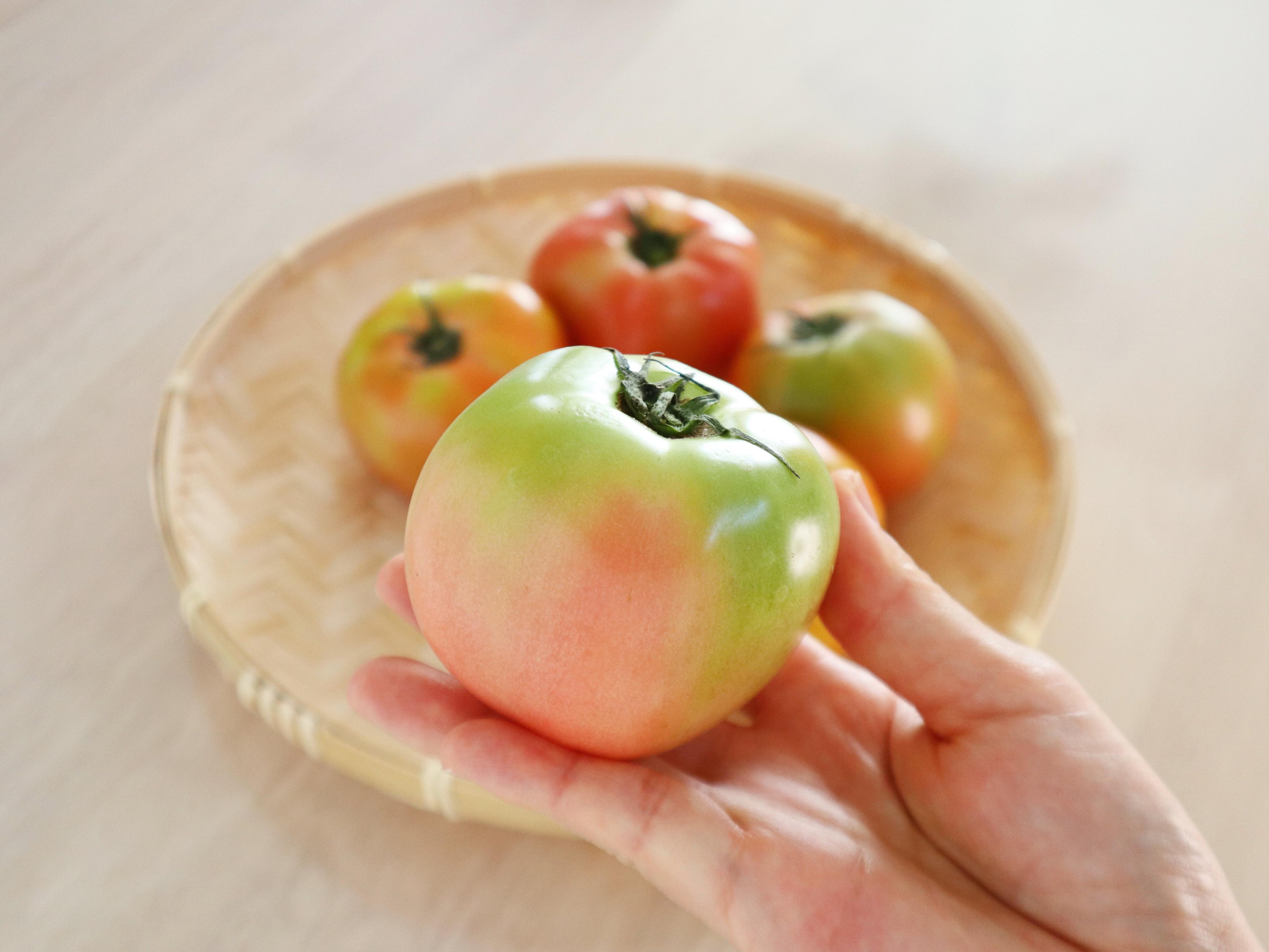 なぜまだ青いトマトが売られるの?