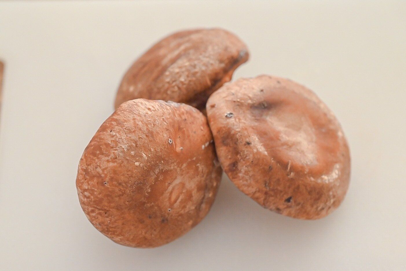 ３個のしいたけ