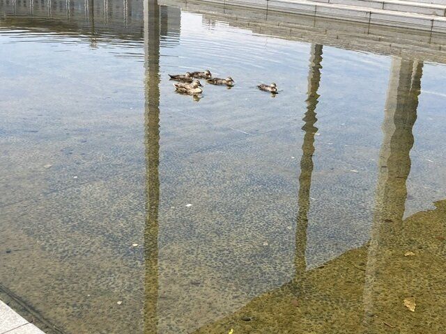 「自分に自信がない」主婦必見!!自分を否定しないために捨てるべき3つのこと