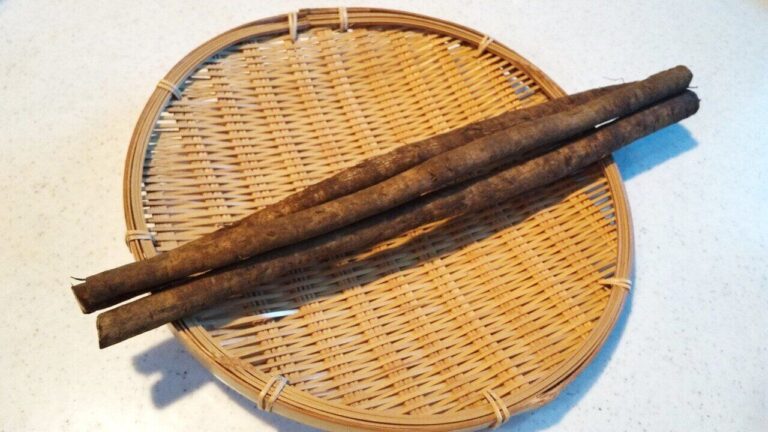 ごぼうの皮はピーラーでむく？包丁でむく？皮に含まれる成分とそのメリットもご紹介！