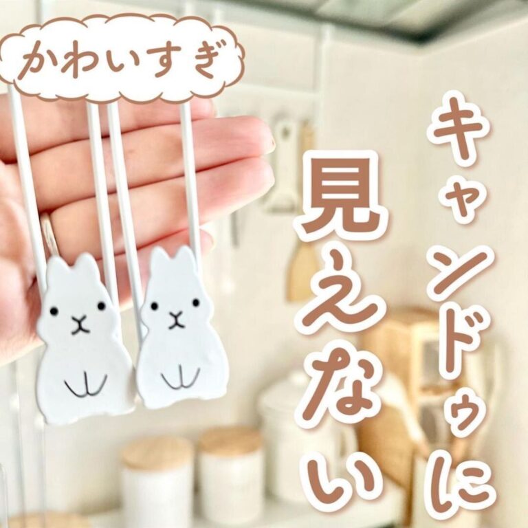 進化がすごい【キャンドゥ】「キャンドゥに見えない」「1年ほど探してやっとGET」お役立ち4選