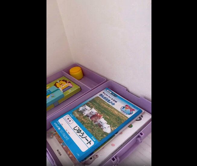 【ダイソー】衝撃の330円！便利すぎるお道具箱