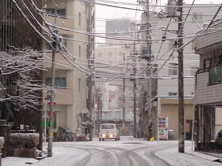 東京と名古屋はどちらが雪が多い？意外と雪が降るワケを気象予報士が解説！