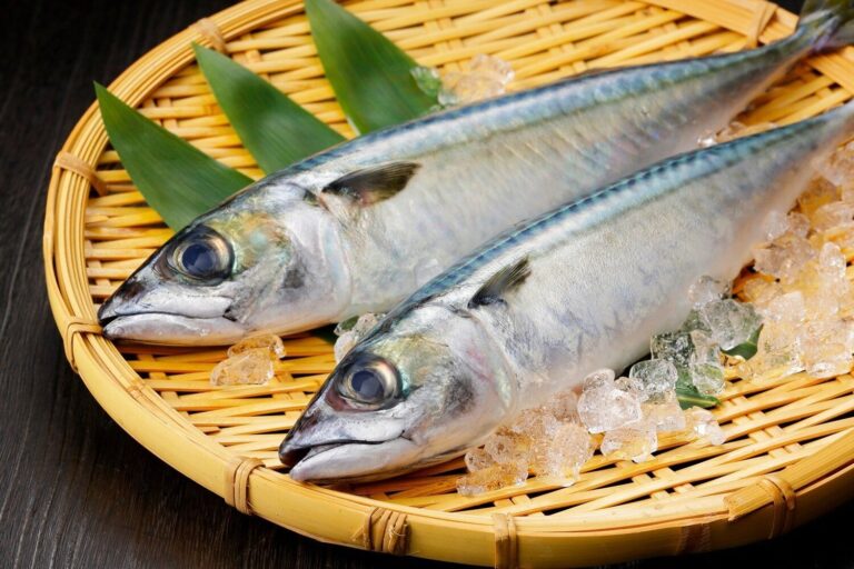 2024年のラッキーフード、青魚、チキン、ちらし寿司で運気を上げる【Dr.コパの風水解説】