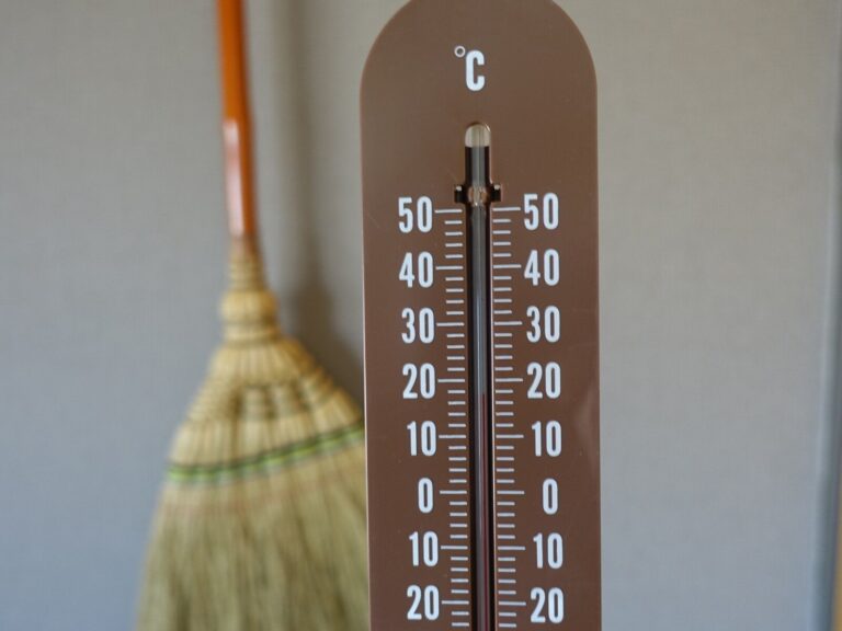 暖冬は大掃除に有利？2023年の大掃除、どこから始めて、どこで終わるかを掃除のプロに聞いた