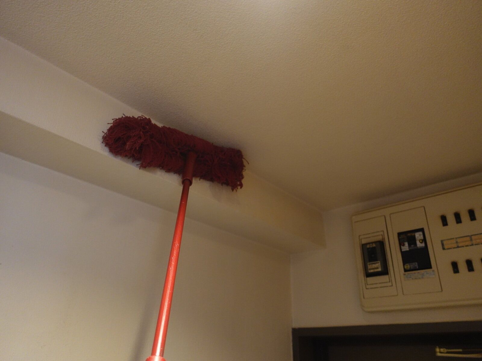 暖冬は大掃除に有利?2023年の大掃除、どこから始めて、どこで終わるかを掃除のプロに聞いた