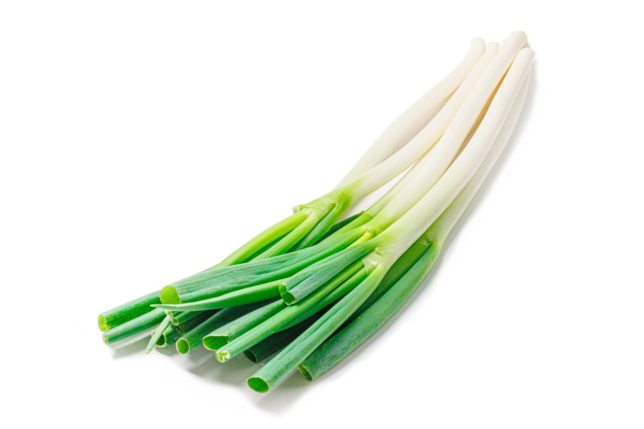 白い背景にたくさんのネギ