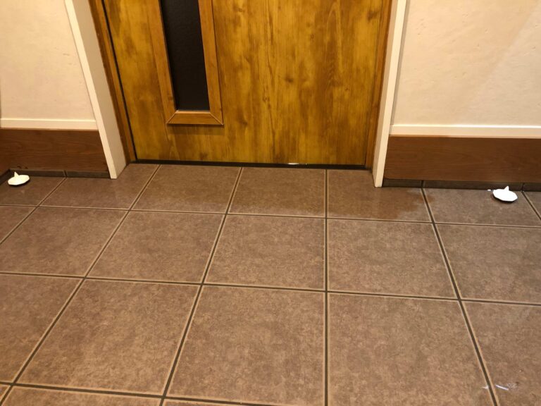 玄関掃除にはまったきっかけと玄関掃除の激推しグッズ