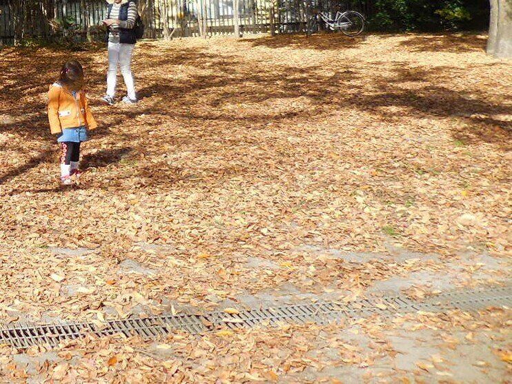 公園の落ち葉と歩く人