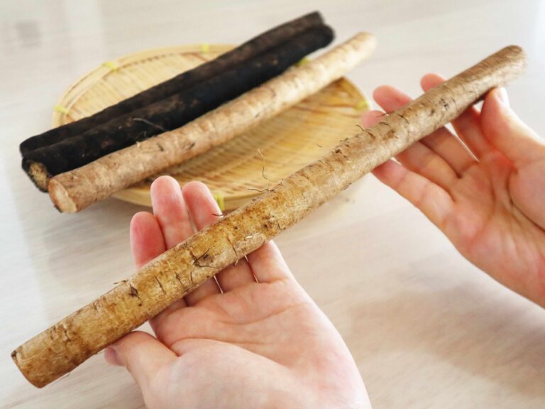 やらなきゃもったいない！旬の「ゴボウ」を丸ごと1本使い切るやみつきおかずレシピ