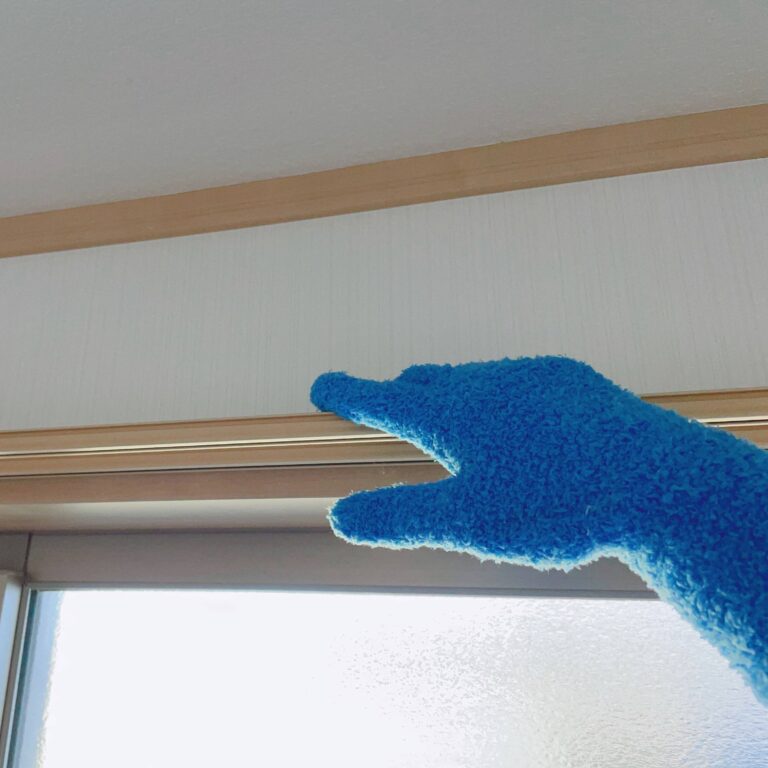 【シンプリスト激推し掃除グッズ】あると便利なダイソーお掃除用品3選