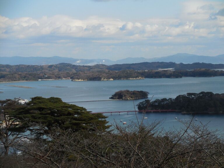 「津波」とふつうの波はどう違う？知っておきたい防災ポイントを気象予報士が解説