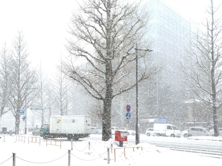 「冬将軍」はもともと「冬」の将軍ではない!?注意すべき時期と対策のコツを気象予報士が解説！