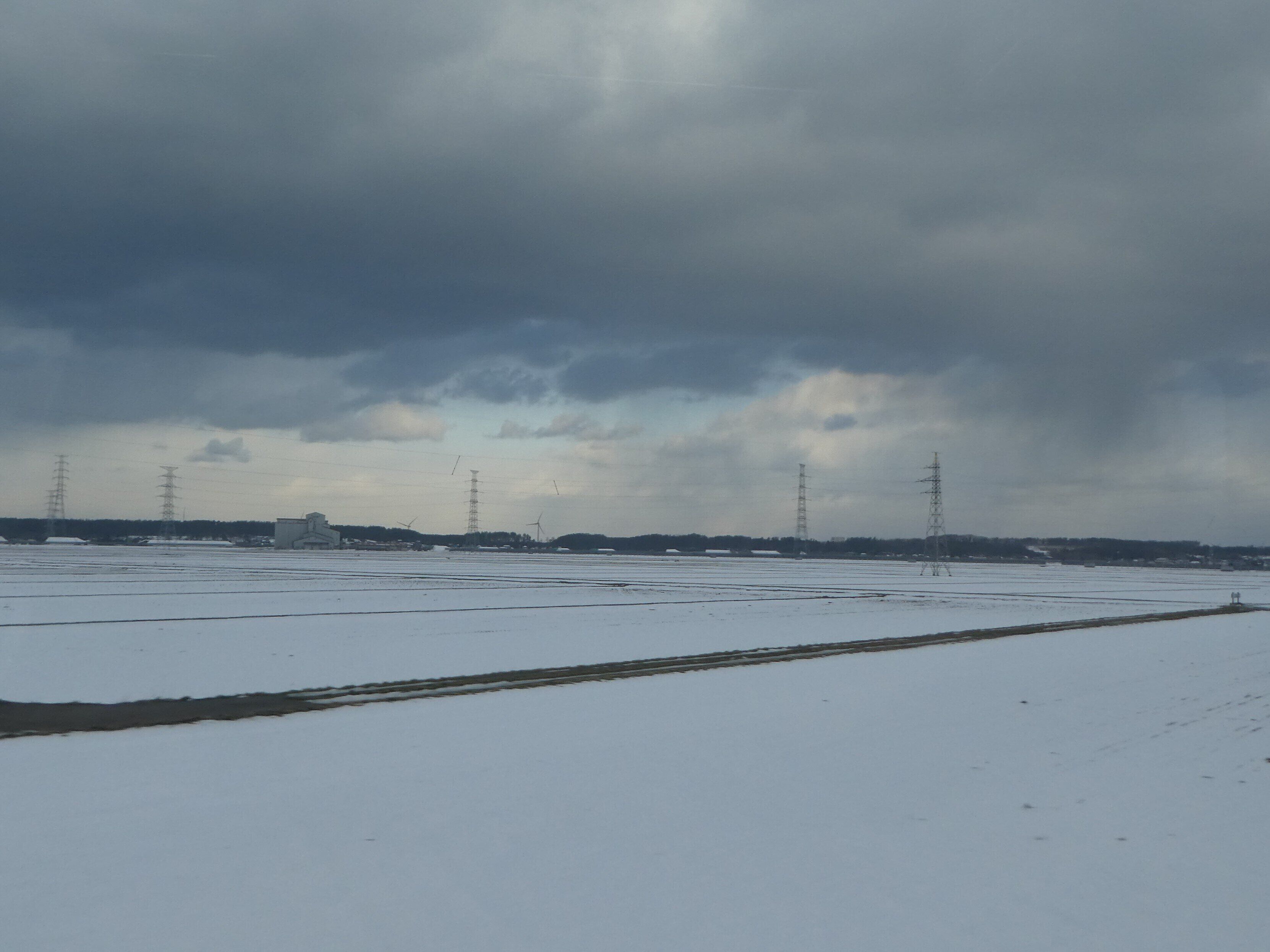 雪が積もった田んぼ