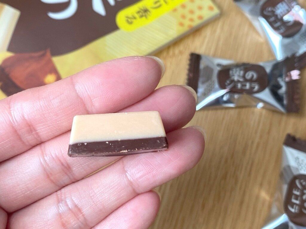 ほっこり香る栗のショコラ