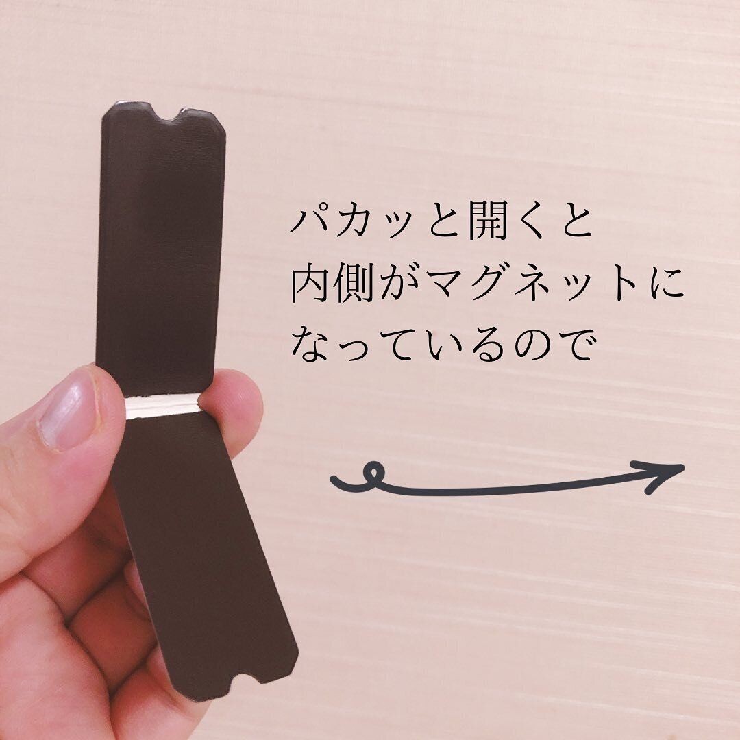 デザインにひとめぼれ！「ポイントマグネット 4P マスターピースコレクション/WM」