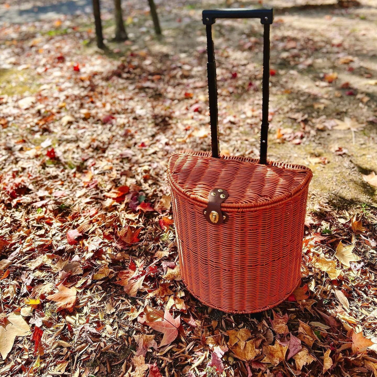 【3coins】持ってるだけで映え！「PPラタンキャリー」