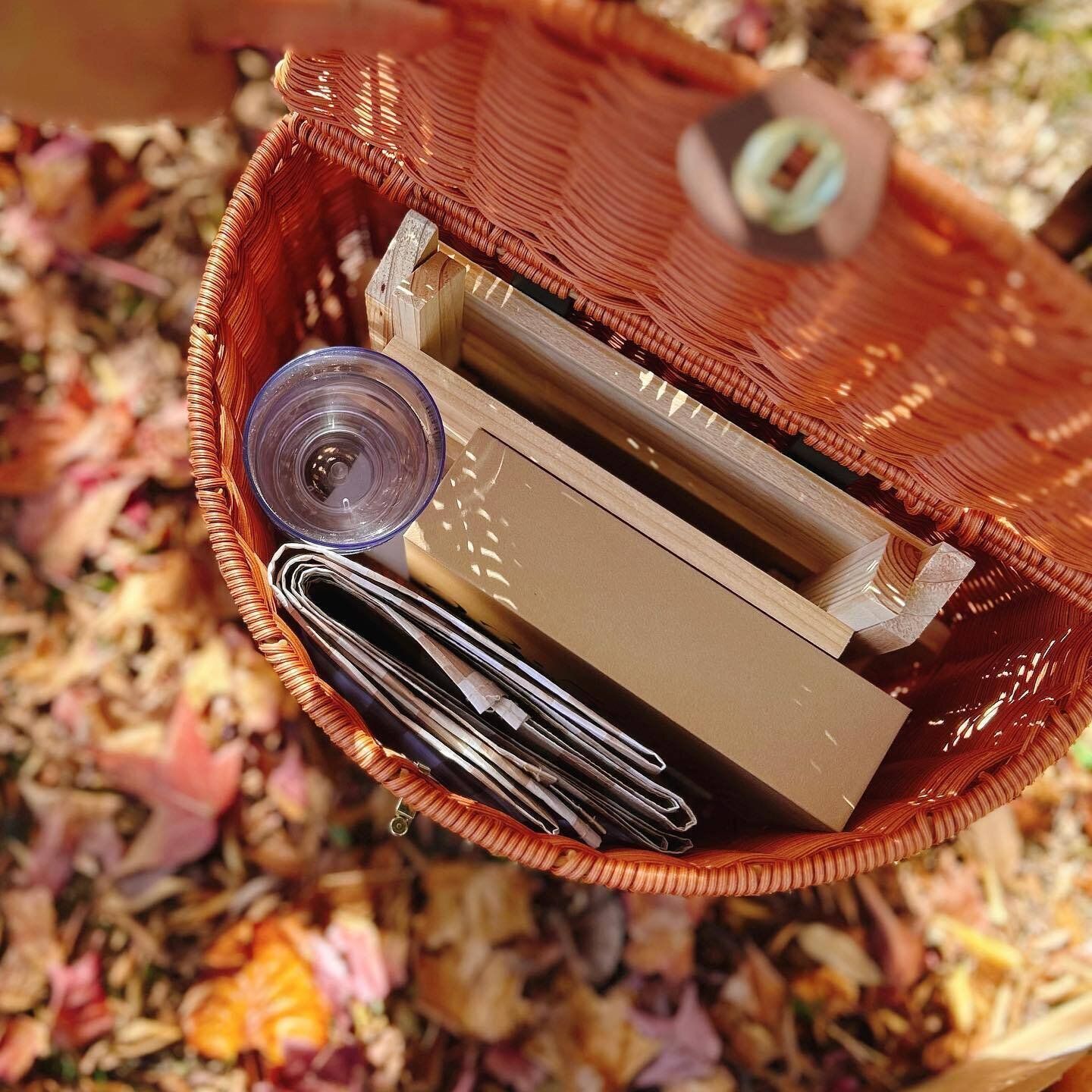 【3coins】持ってるだけで映え！「PPラタンキャリー」