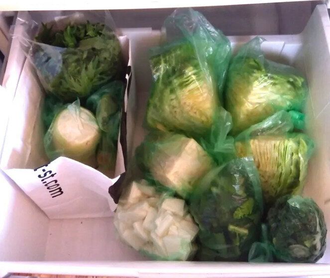 1カ月の食費が6万円から3万円に！「神調味料で時短」「巨大キャベツも使いきる」「電気代まで節約!?」