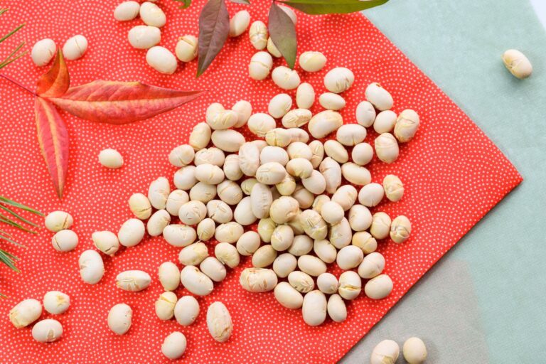 投げるだけじゃもったいない！大豆は栄養たっぷり♪豆が主役の簡単レシピ3選