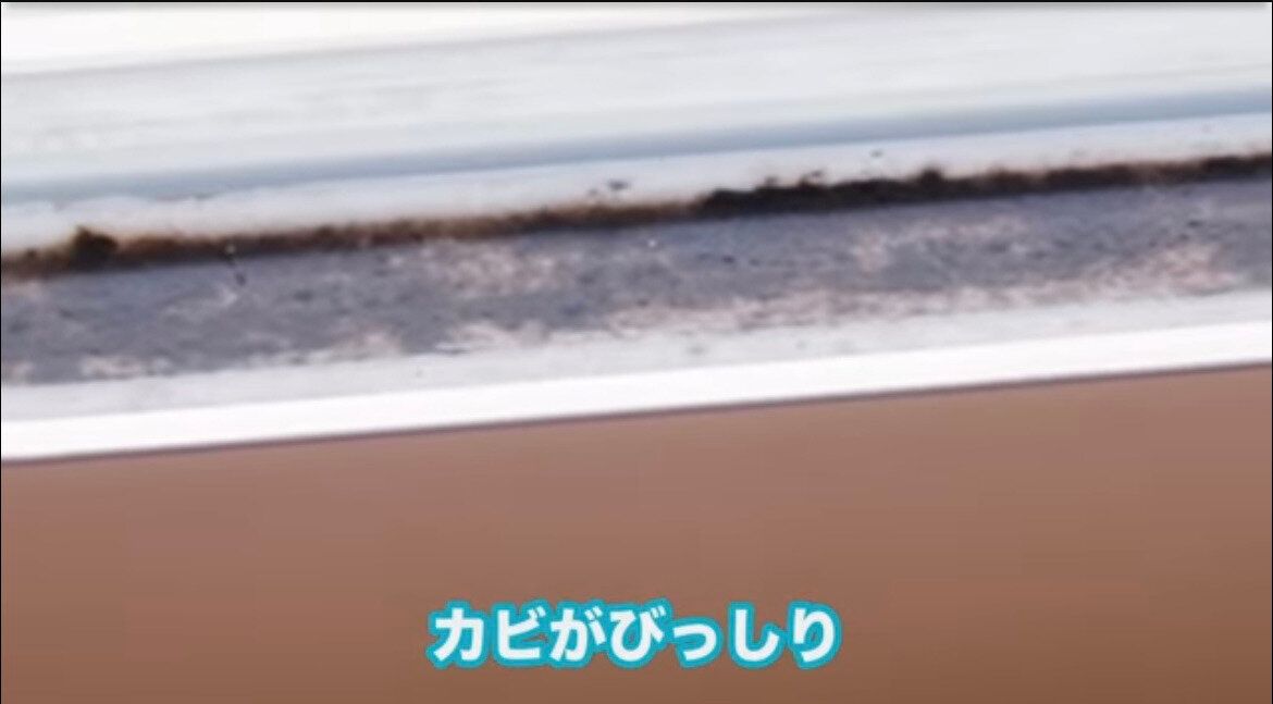 1回洗ってもこの状態!カビがびっしり