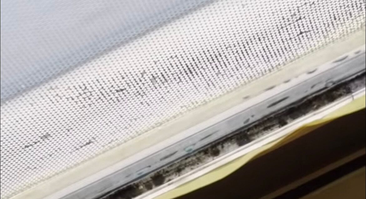 2.ブリーチを流し込んでいく