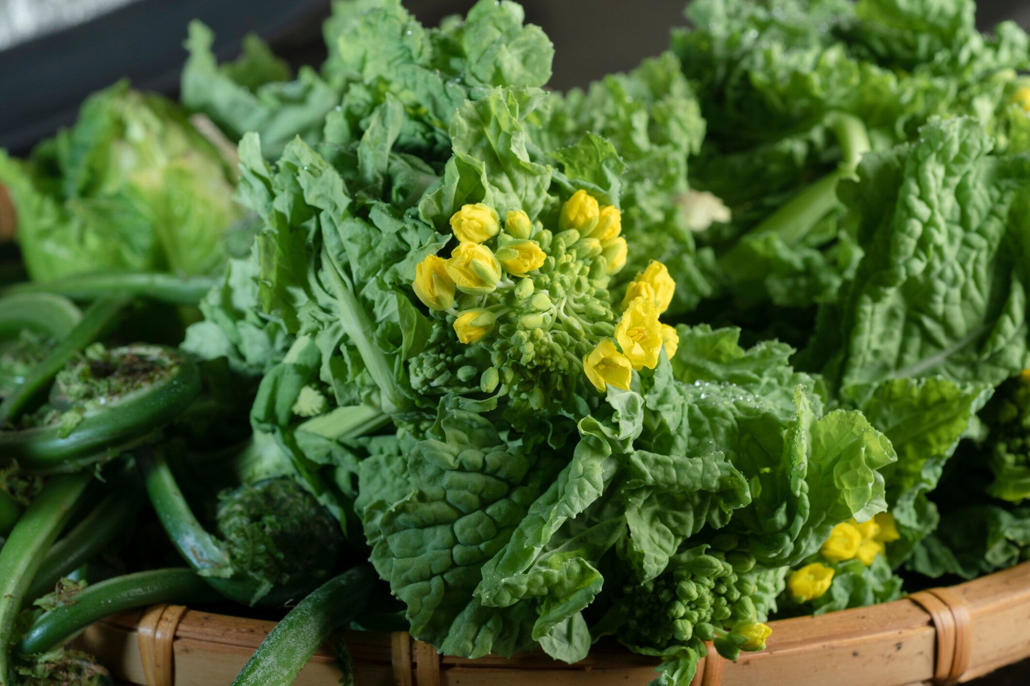 かごに入った菜の花