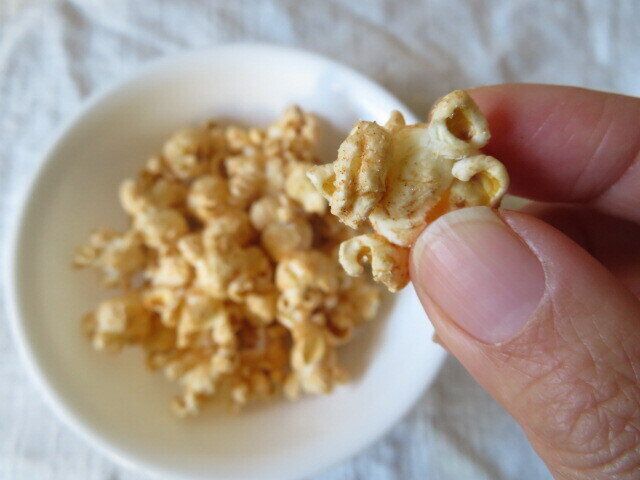 光って見えるのは塩の結晶