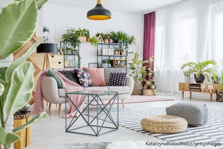 観葉植物　育て方　インドアグリーン