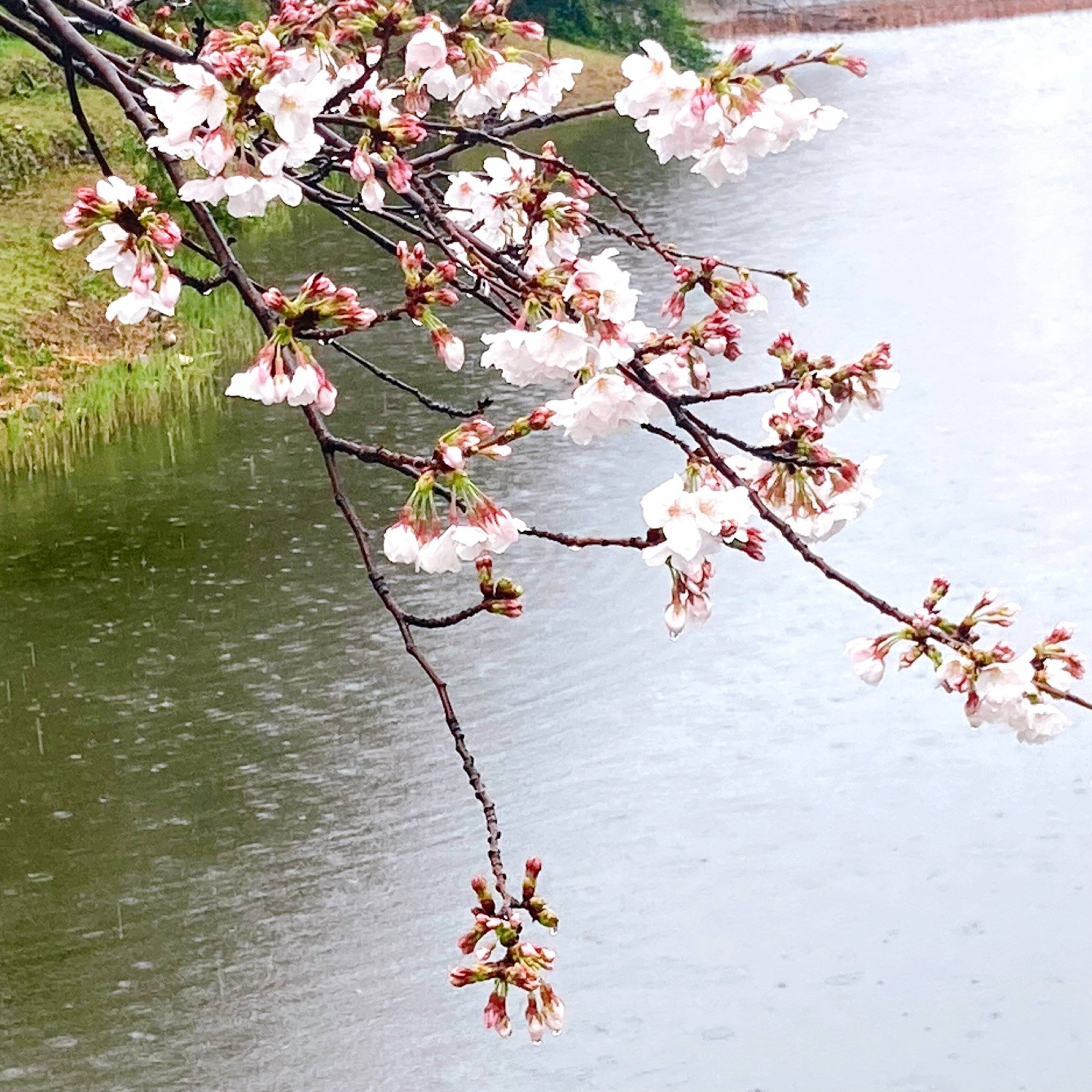 カイロ不要の季節に常備