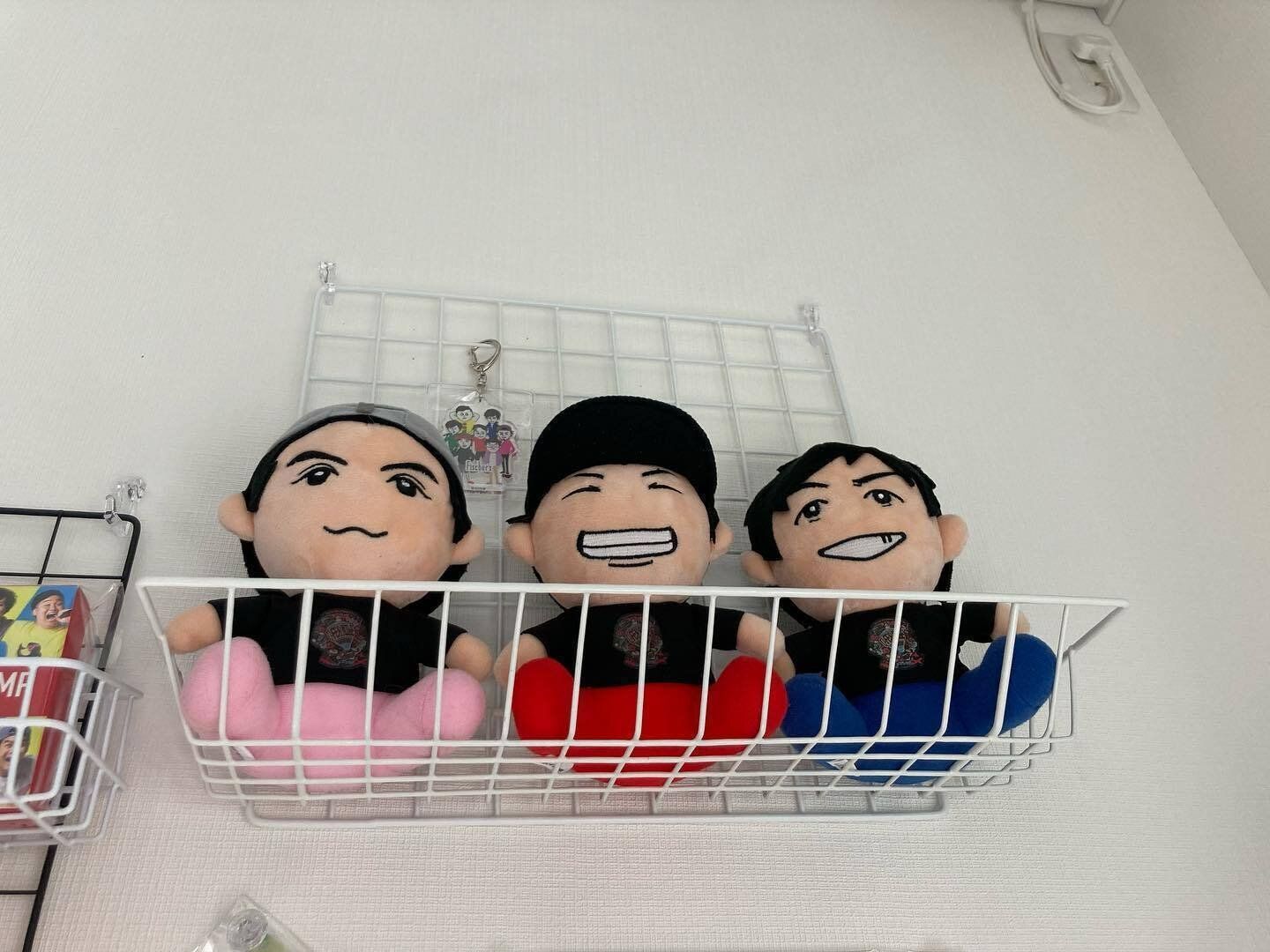 ワイヤーラックを使った壁面収納のアイデア