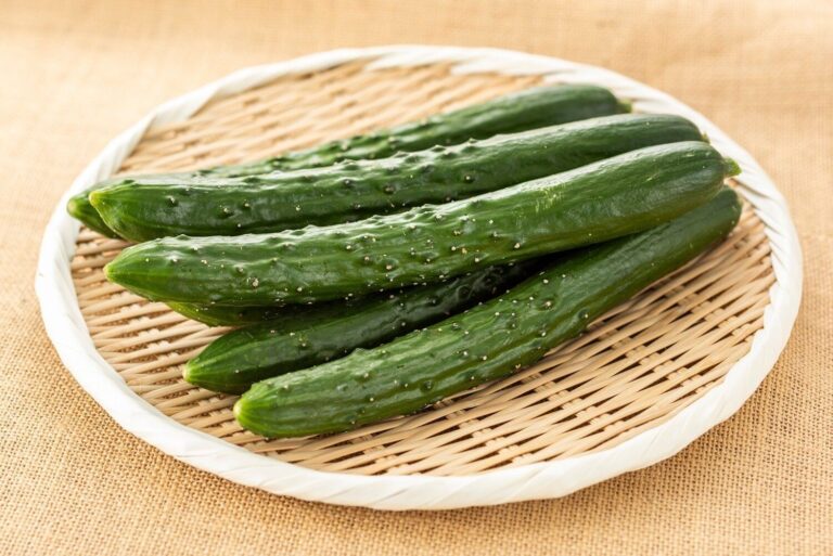 きゅうりを使った人気おすすめレシピ24選！定番～おつまみ、スープも？
