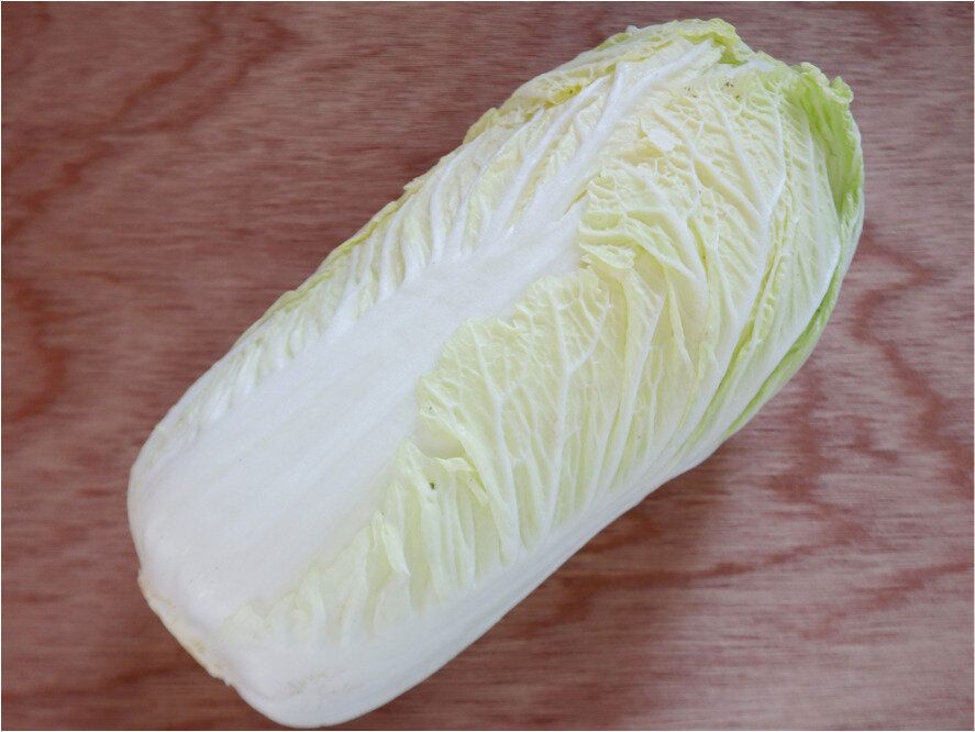 巻きがしっかりしている