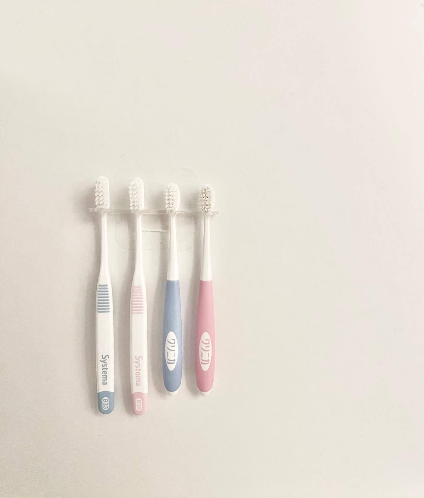 【セリア】4本の歯ブラシを一度に収納できる！