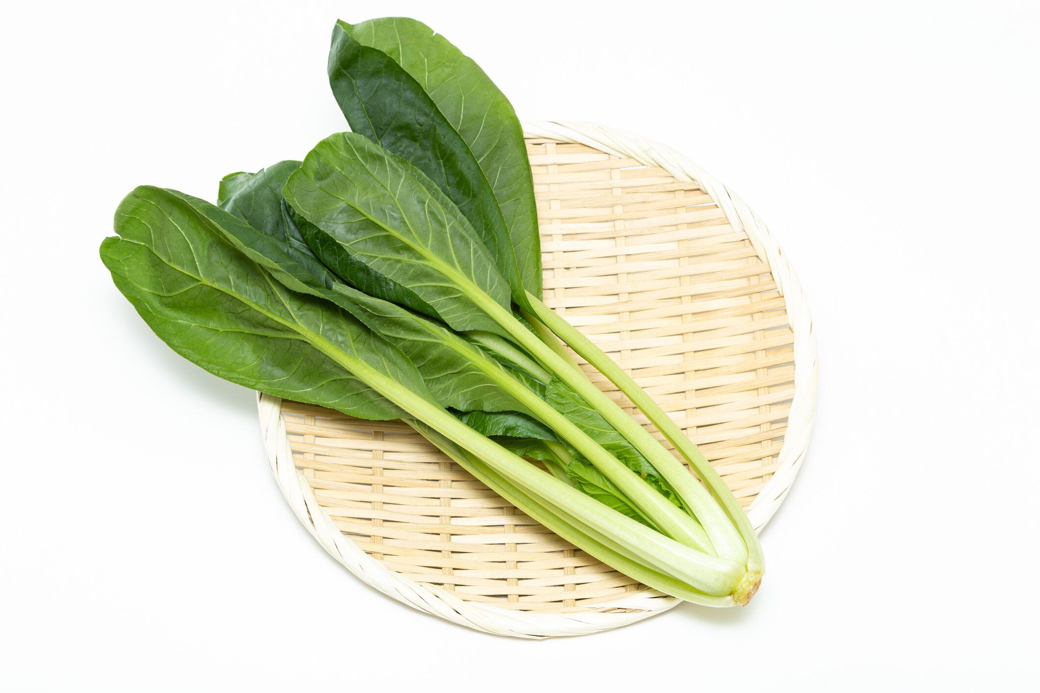 白い背景に小松菜