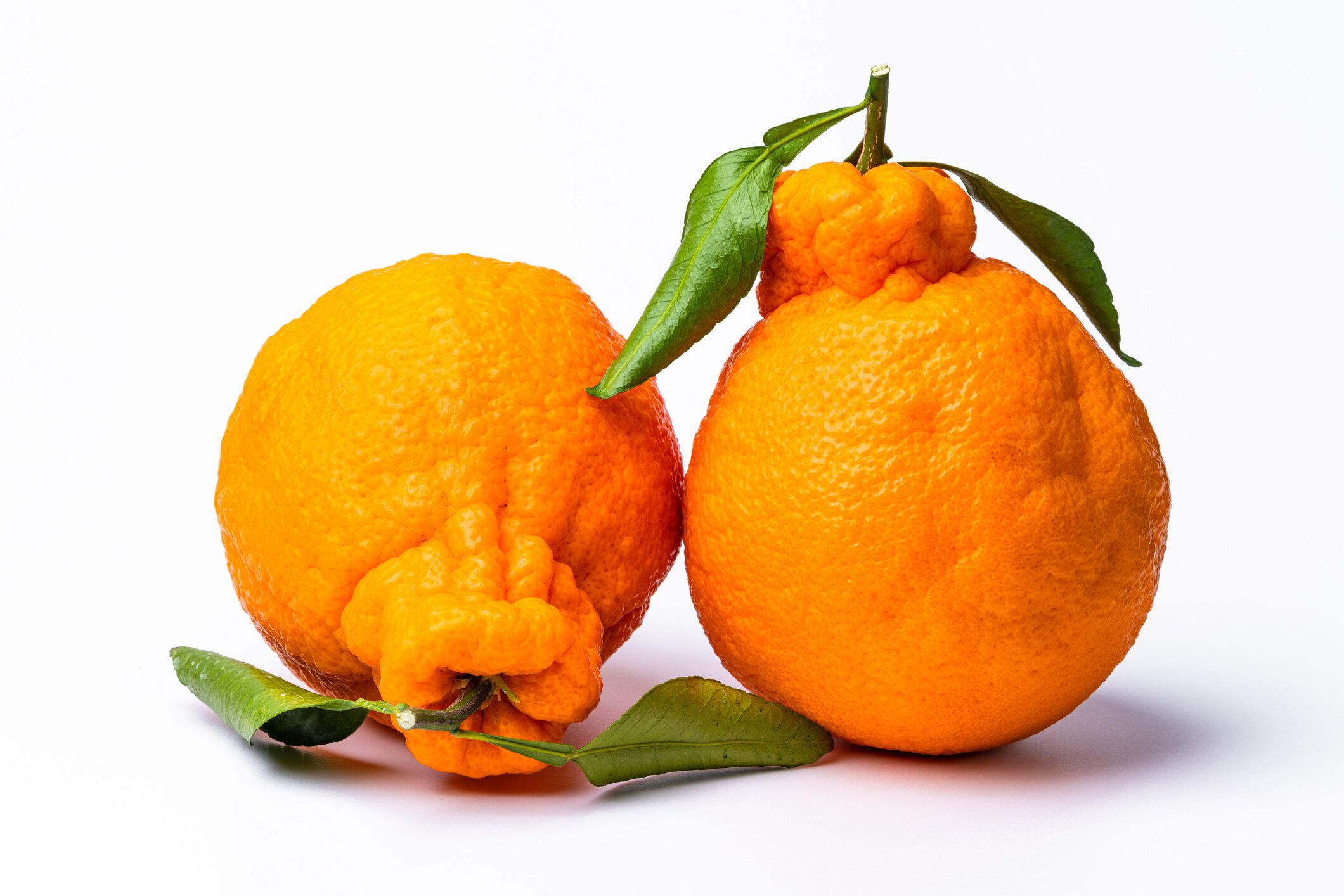 これはデコポンという果物です。