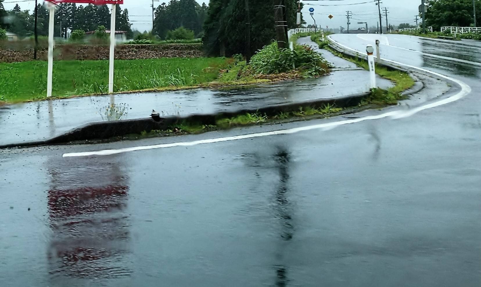 雨で濡れた路面