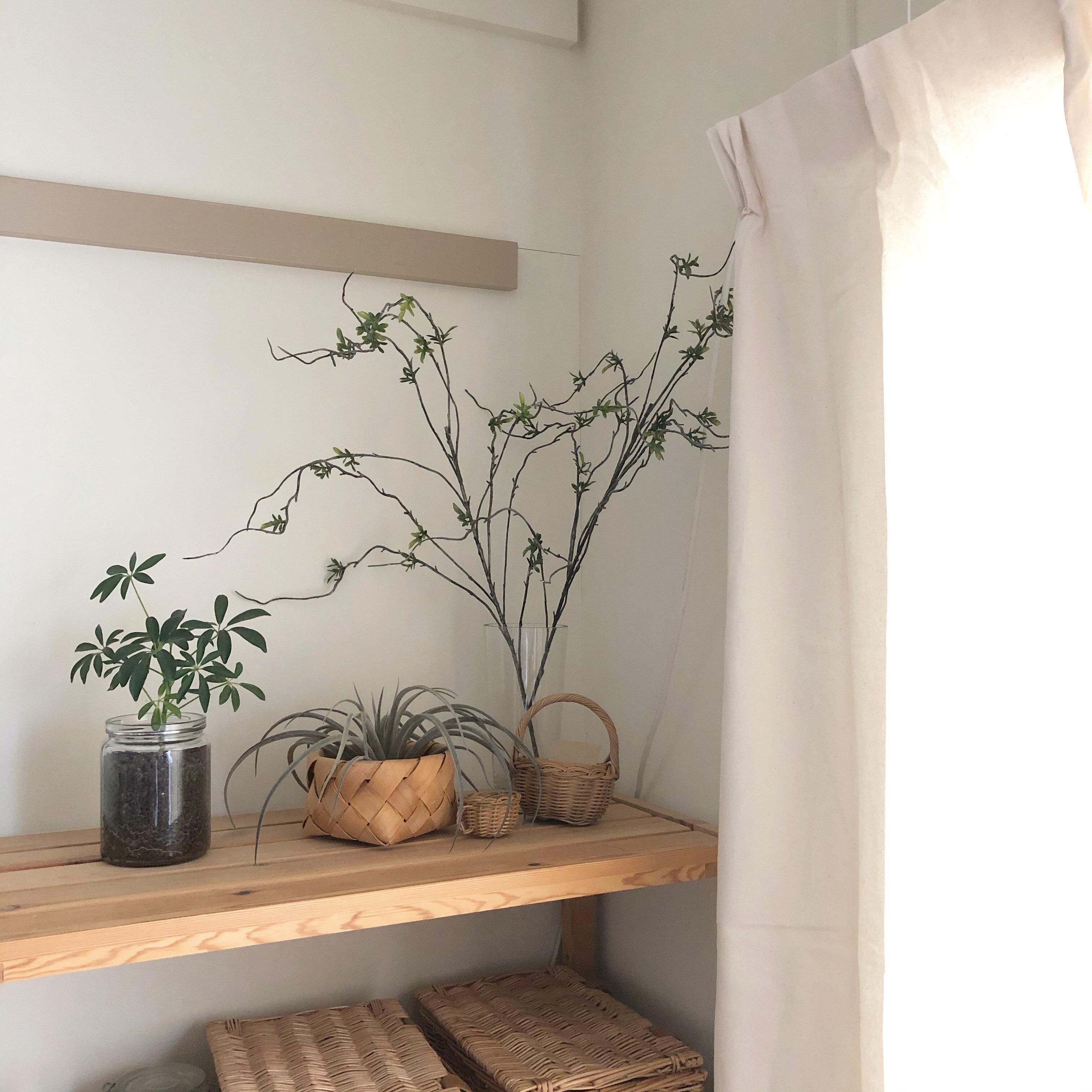 団地　日当たりが良い