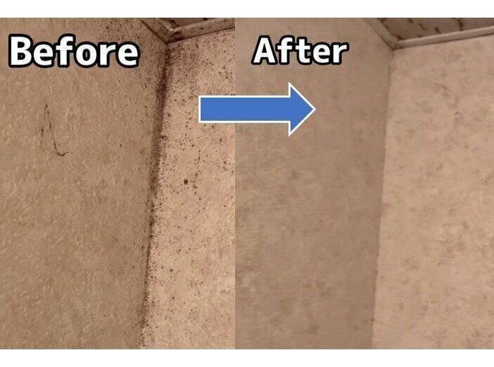 ガンコなカビが数分でキレイに！ダイソー商品を使った簡単な壁紙掃除術