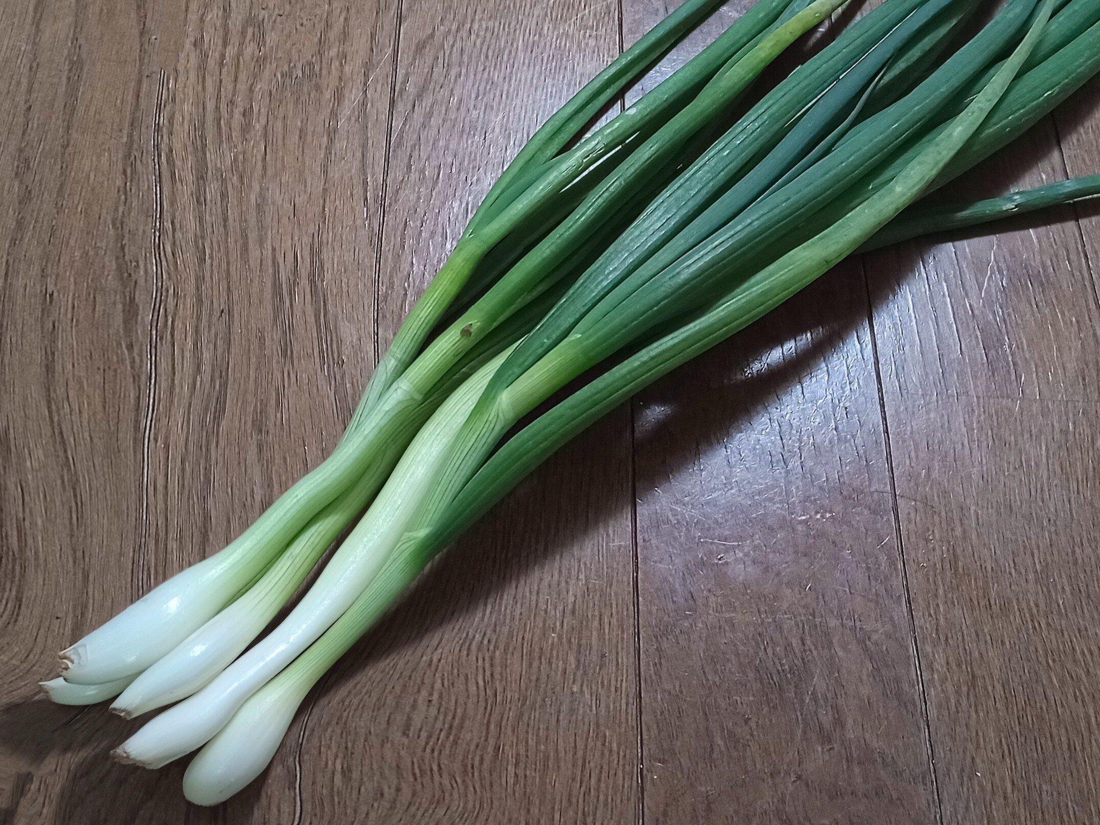 床に置いた野菜