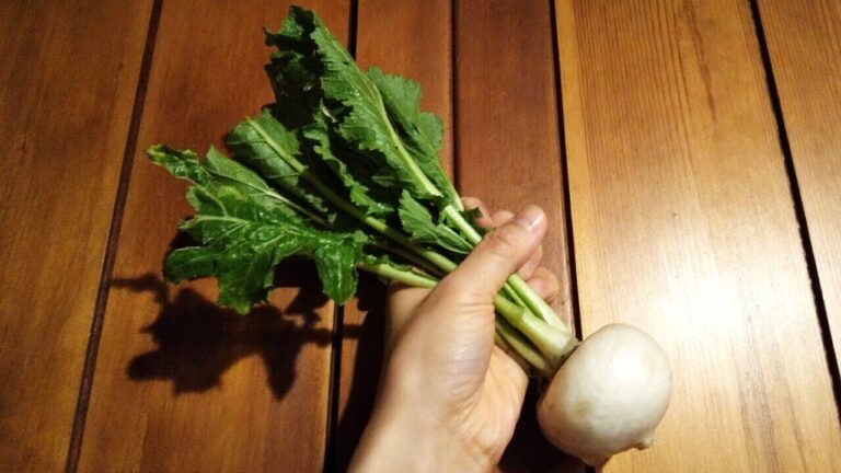 【葉付きのかぶ】があったら、絶対つくって！消化酵素がたっぷりとれる、管理栄養士お気に入りのカルパッチョ風サラダ