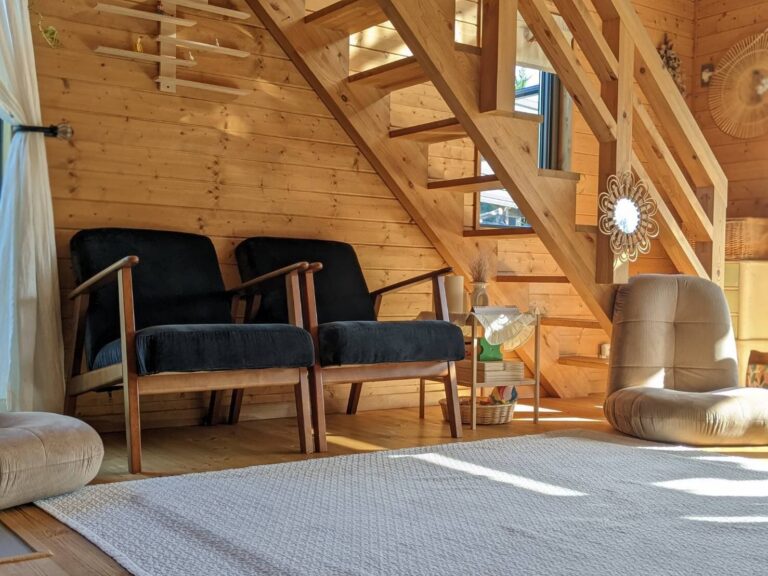 【お掃除】“収納のプロもリピ“布製品がスッキリ！1,000円台で買えるドイツのクリーナー