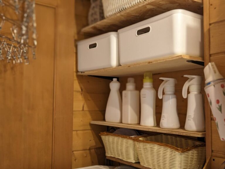 【100均】本家超え！“収納のプロが太鼓判“ダイソー高コスパアイテム3選