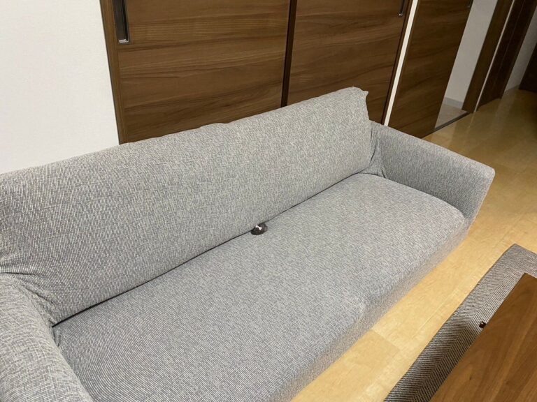 「ソファを占領する迷惑系ハムスター」センターを陣取る小さいアイドルに6.9万人以上がメロメロ!?