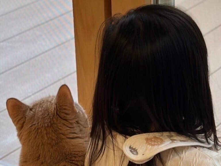 横に並んで窓の外を見つめる2歳娘と愛猫。ぴったりくっつく後ろ姿がかわいすぎてたまらない！