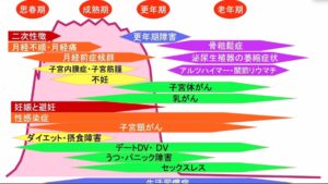 女性ホルモンは、女性の元気と若さを保つ「お守り」だった！