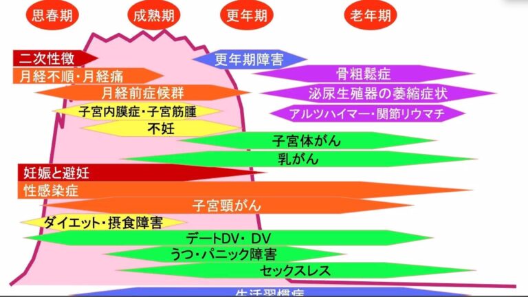 女性ホルモンは、女性の元気と若さを保つ「お守り」だった！