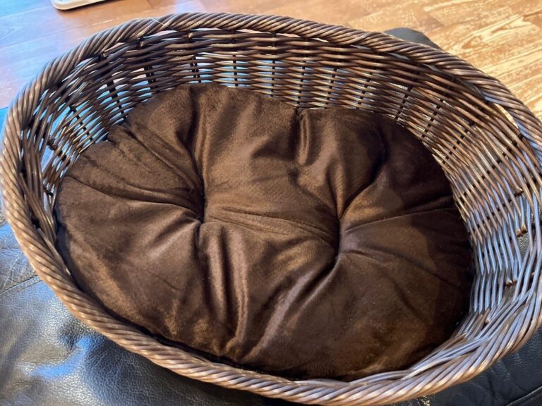 【ダイソー】550円のペットベッドで猫も人も幸せに！